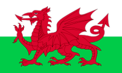 Flag of Wales 250x150