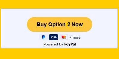 PayPal Buy Option 2 Now 400x200