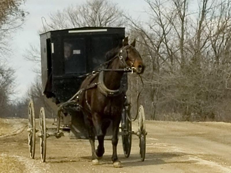 Mennonite Carriage
